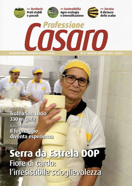 Professione Casaro N°3 — Serra da Estrela DOP
