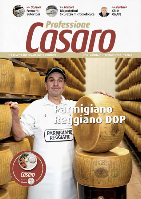 Professione Casaro N°6 — Parmigiano Reggiano DOP